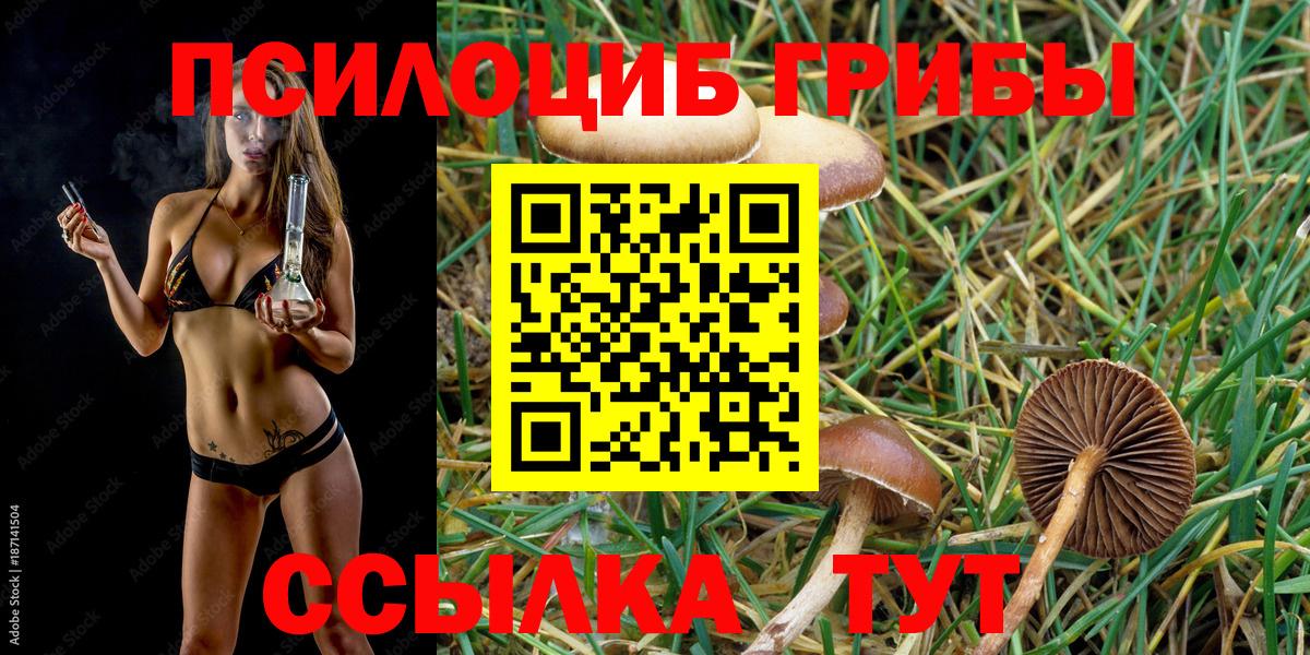 Лесосибирск  Псилоцибиновые грибы GOLDEN TEACHER  Вход с VPN  Галлюциногенные грибы Cubensis 